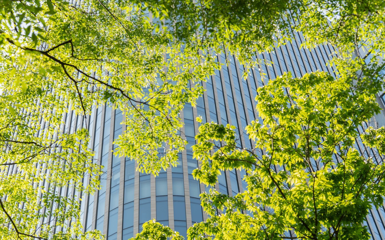 VCMI Claims Code of Practice: A Framework for Credible Corporate Carbon Claims