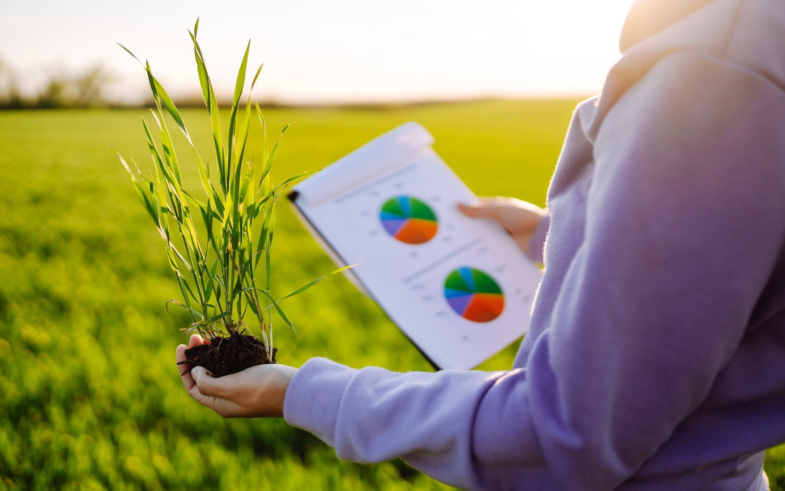 What Is CSRD? The EU Sustainability Reporting Directive Explained