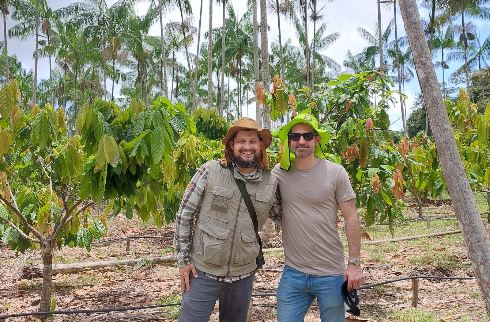 Cocoa Native Agroforestry converts degraded pasture in Para, Brazil into cocoa, acai and native-species agroforestry designed for traceable Scope 3 land-sector removals.