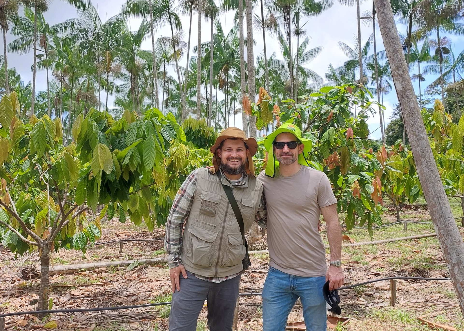 On the ground in Pará, Brazil