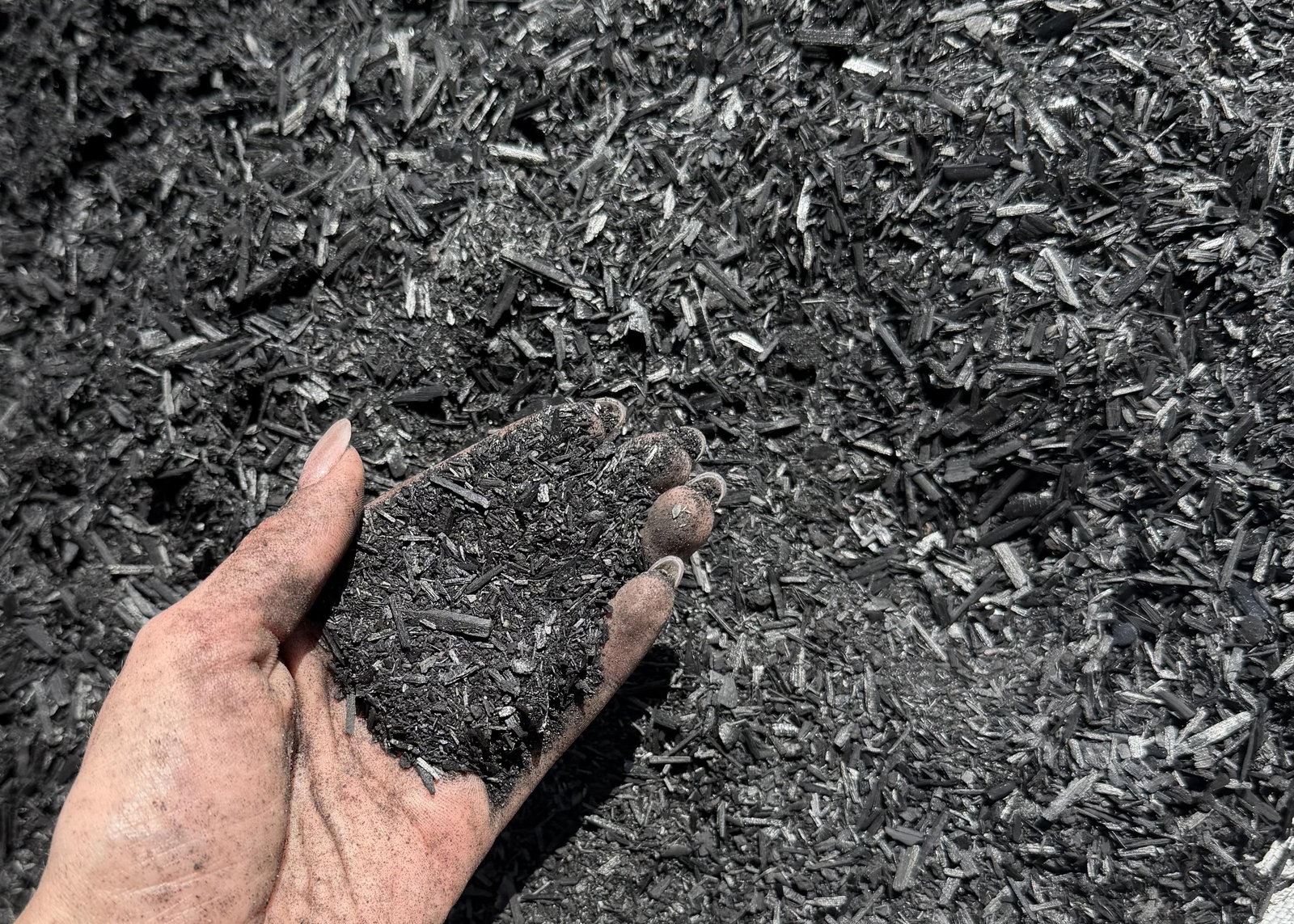 Biochar held by hand at the Dark Earth facility in Singapore