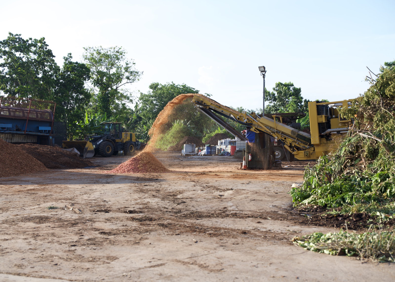 Woodchip feedstock for Dark Earth project in Singapore